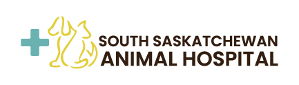 South Saskatchewan Animal Hospital